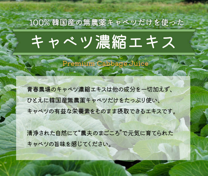 100％韓国産無農薬キャベツを使用した濃縮エキス