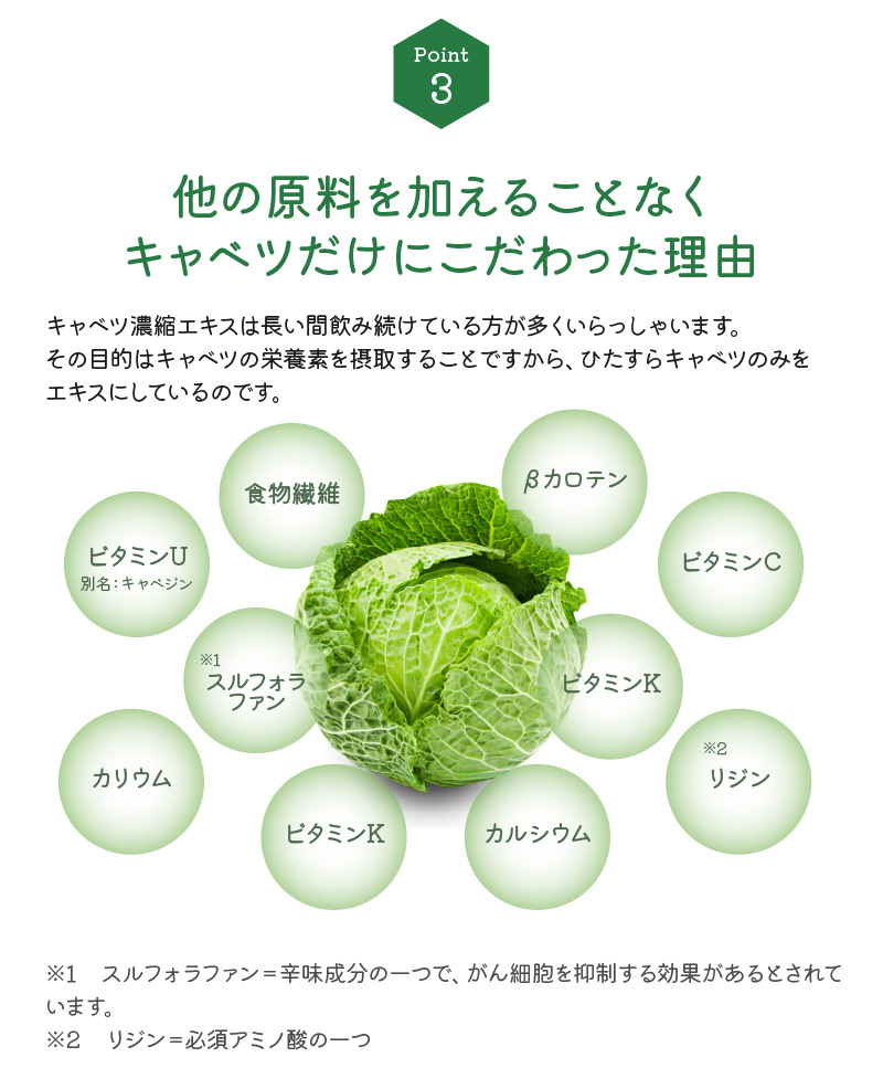 キャベツに含まれる栄養素